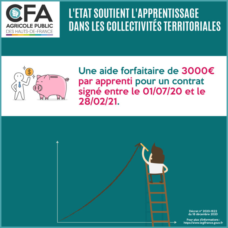 L Etat soutient l apprentissage dans les collectivités territoriales